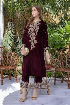 ZC-218 Velvet Embroidered 2pc
